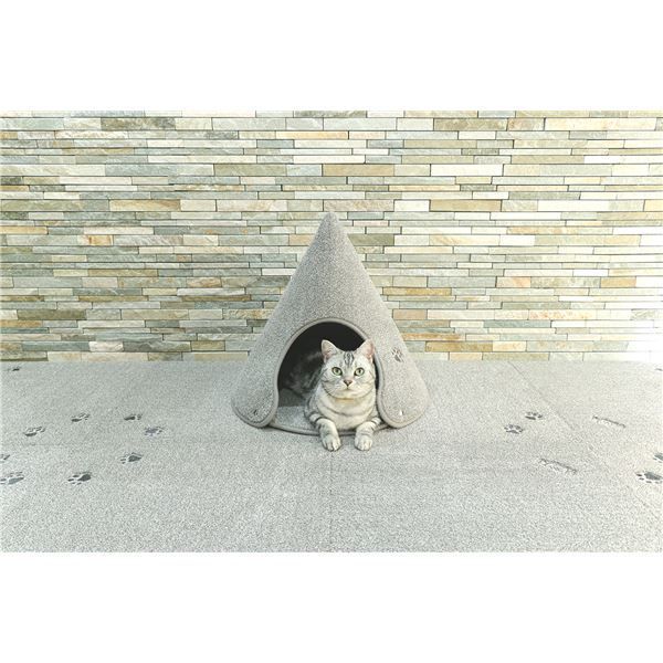 ラグタスコーン GRY グレー Lサイズ 約W58×D58×H53cm 代引不可