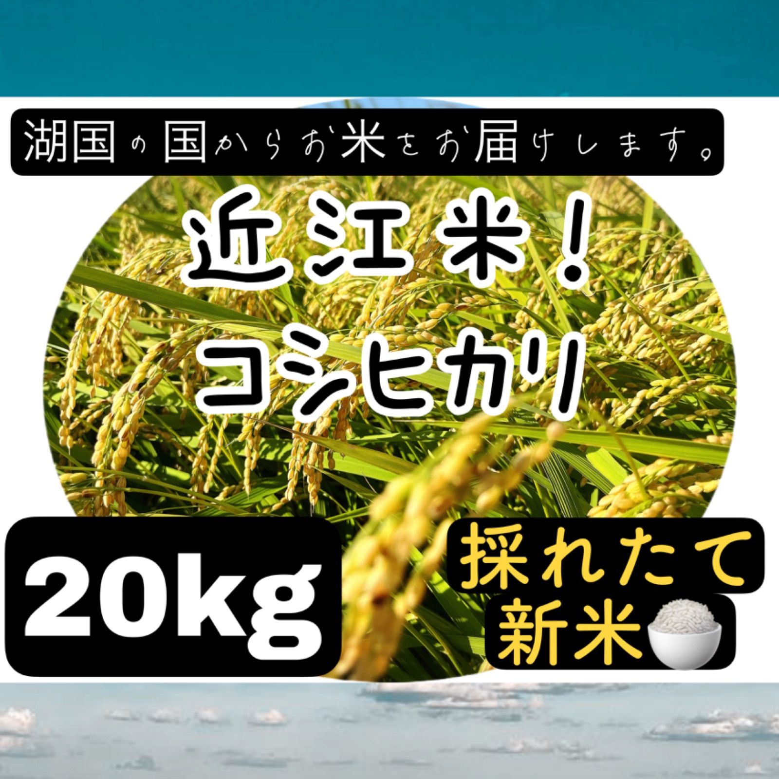 令和4年新米！近江米コシヒカリ20kg library.umsida.ac.id