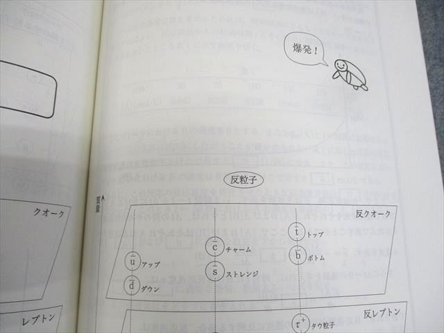 代ゼミ 入試化学突破のバイブル 理論・無機/有機 テキスト 未