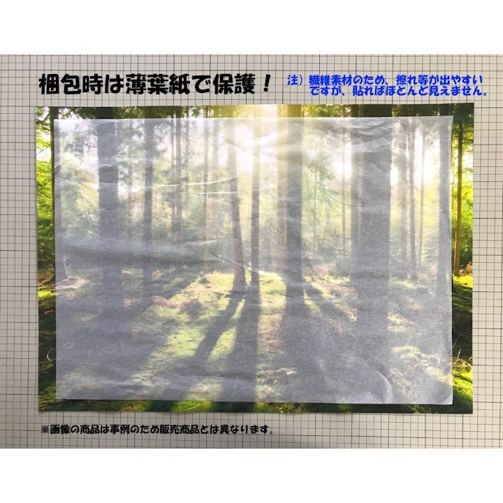絵画風 壁紙ポスター (はがせるシール式) 【特大上下2枚仕様】-地球の撮り方- 輝く川面、東京都目黒川の夜桜ライトアップ さくら《写真家/糸氏雄一郎》 キャラクロ C-ZJP-007X1W (パノラマX版 2210mm×576mm×2枚)＜日本製＞