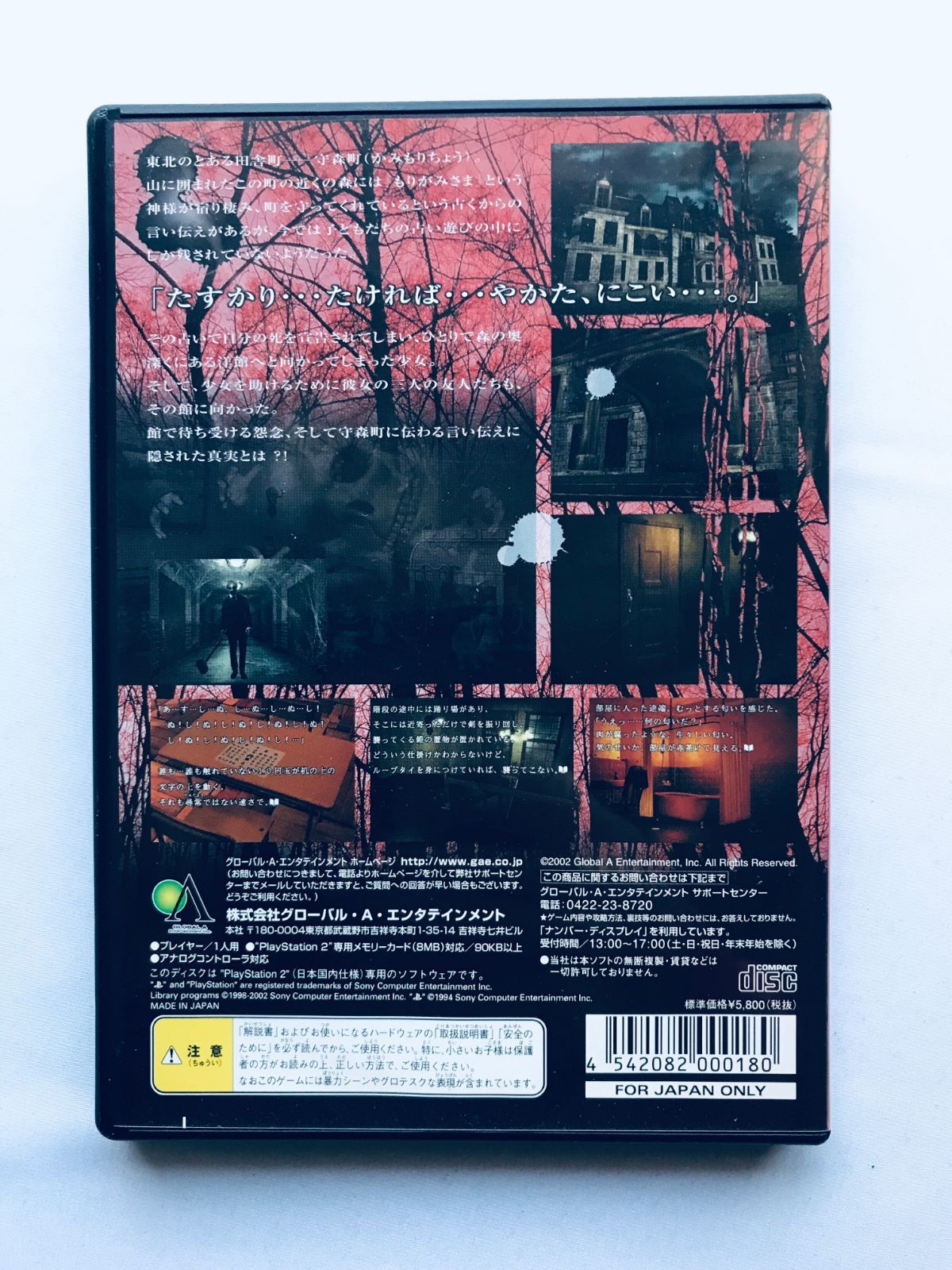 帰らずの森 Forest