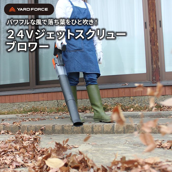 SKE48 ヴィレッジヴァンガード 生写真 3種コンプ 1 ヴィレヴァン