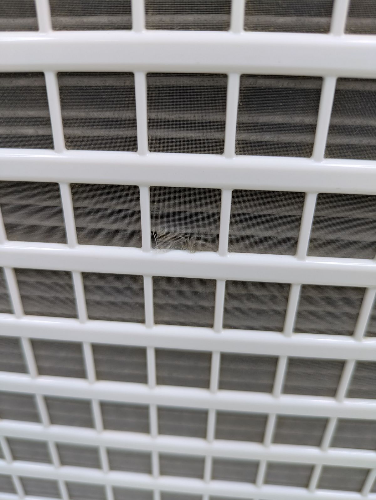 空気清浄機 加湿器