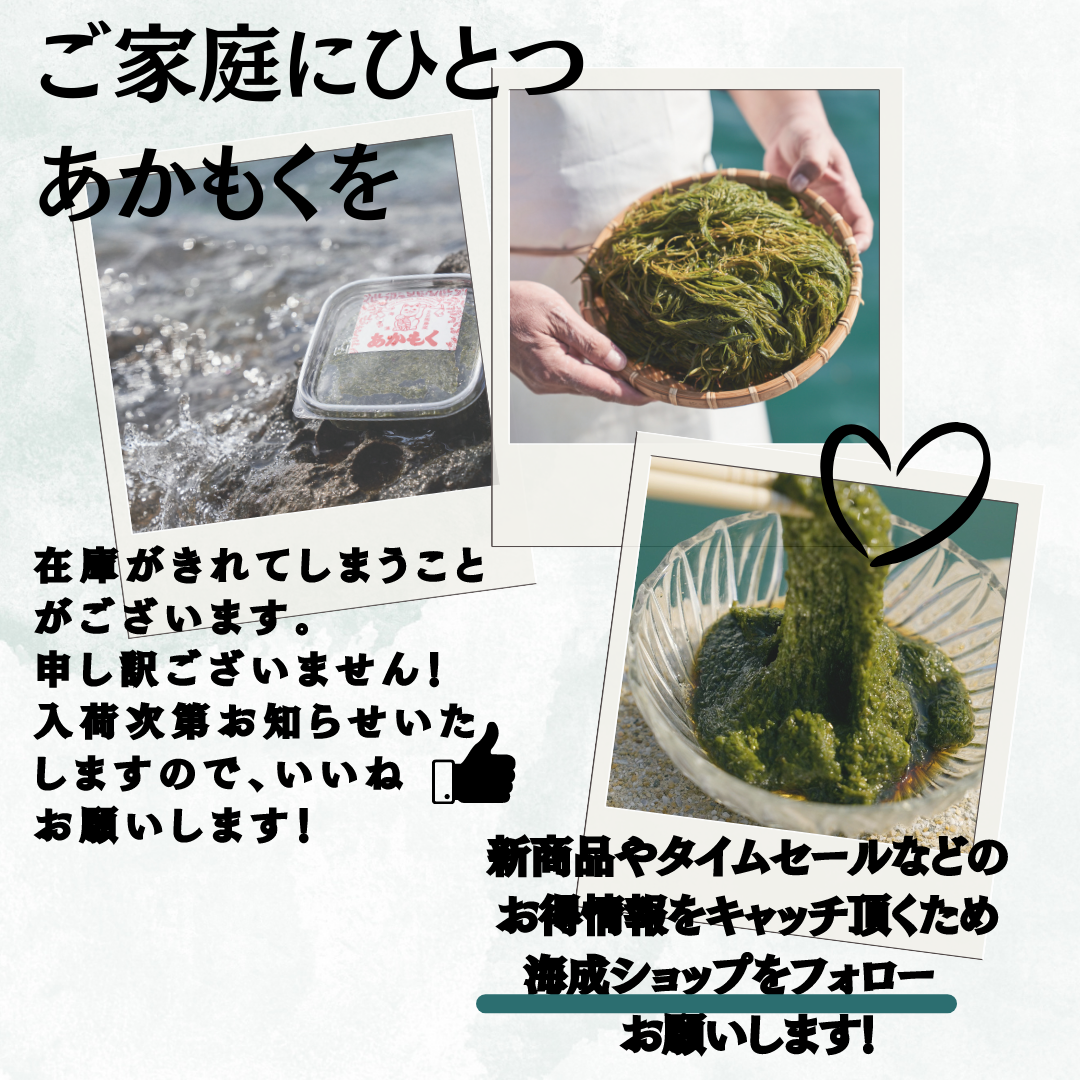 【天然アカモク】玄界灘の海成のアカモク　あかもく900ｇ|海成
