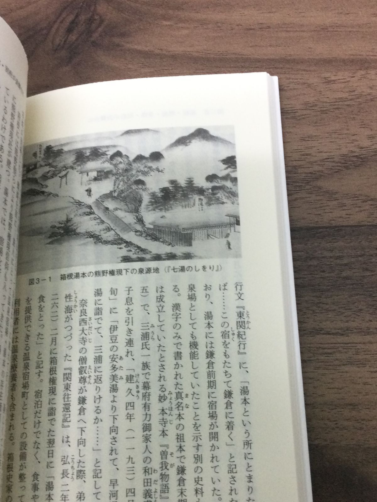 温泉の日本史 - 記紀の古湯、武将の隠し湯、温泉番付 (中公新書) 石川 理夫 著