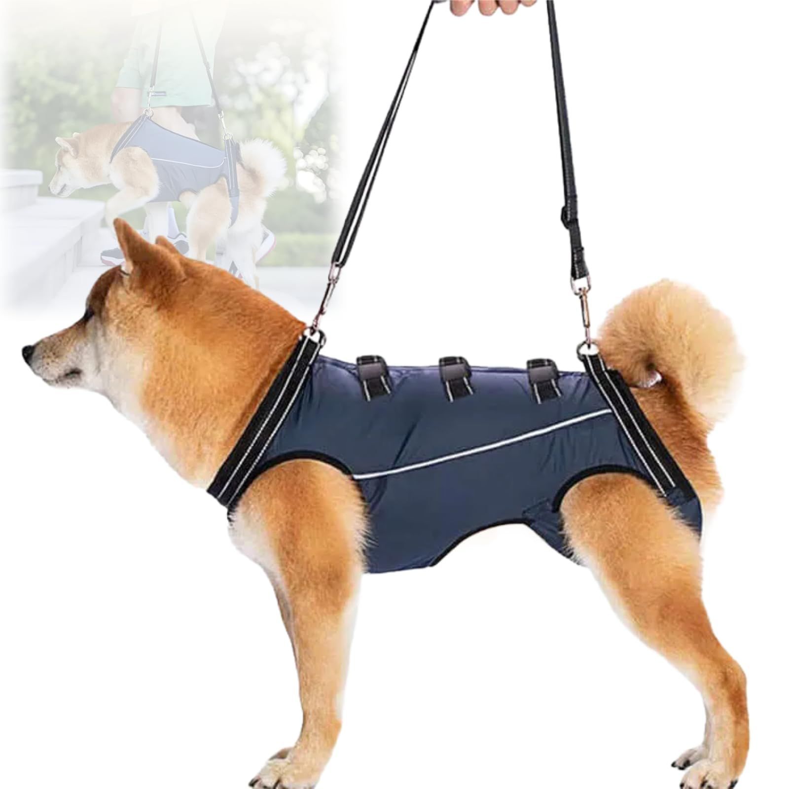 アート作品 ハイヒールと美脚 油絵 フランフラン カッシーナ ACTUS