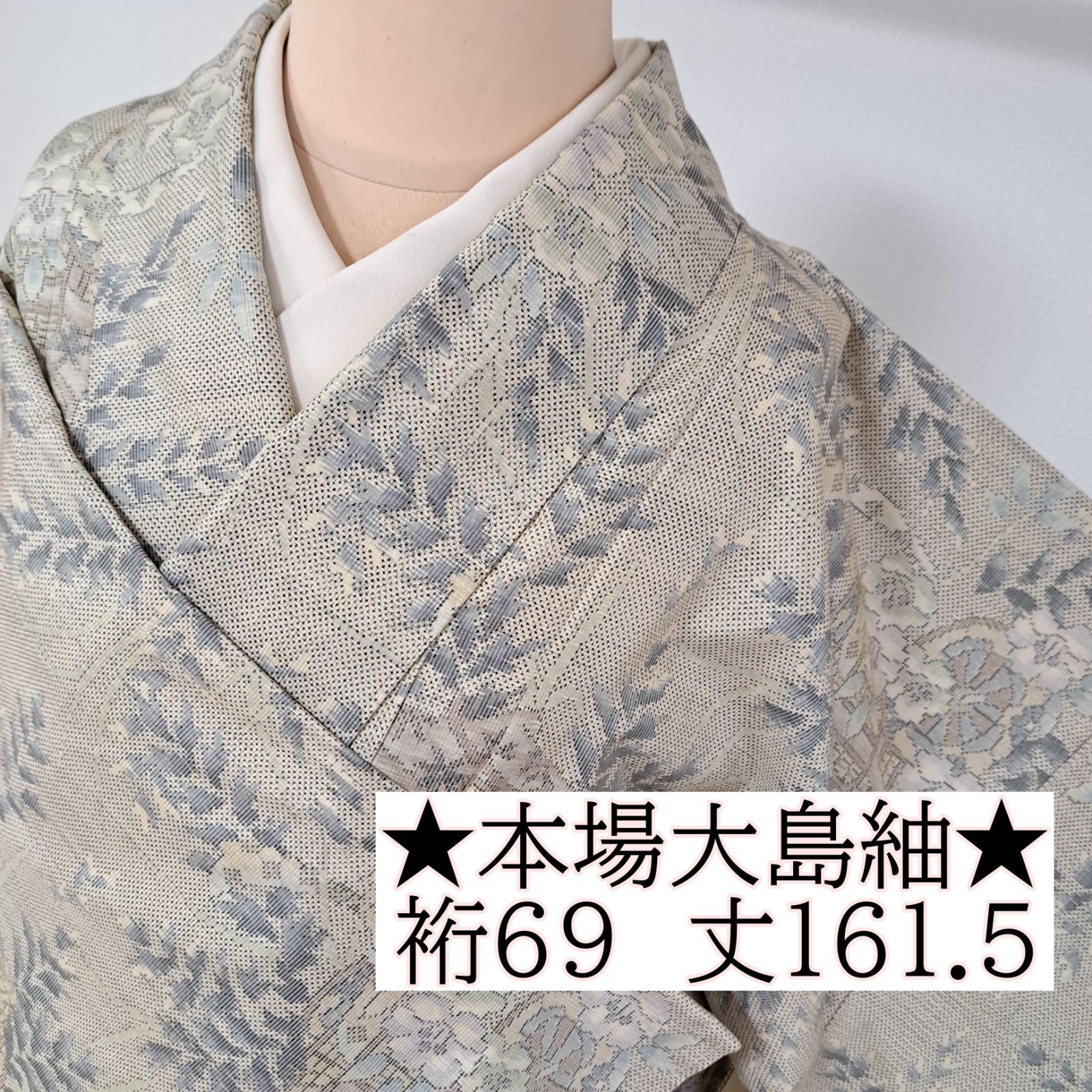 本場大島紬 裄69 身丈161.5 袖51 紬 一元式 ベージュ地に花車とお花 め17S08 k2517