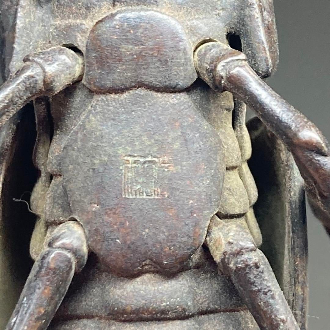 本Y5-0602 トニサ