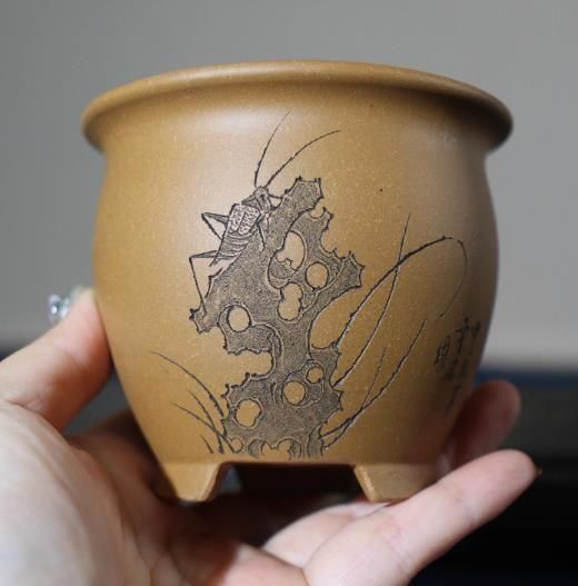 紫砂の鉢 盆栽鉢 植木鉢 小品盆栽鉢 大品盆栽鉢 四線丸