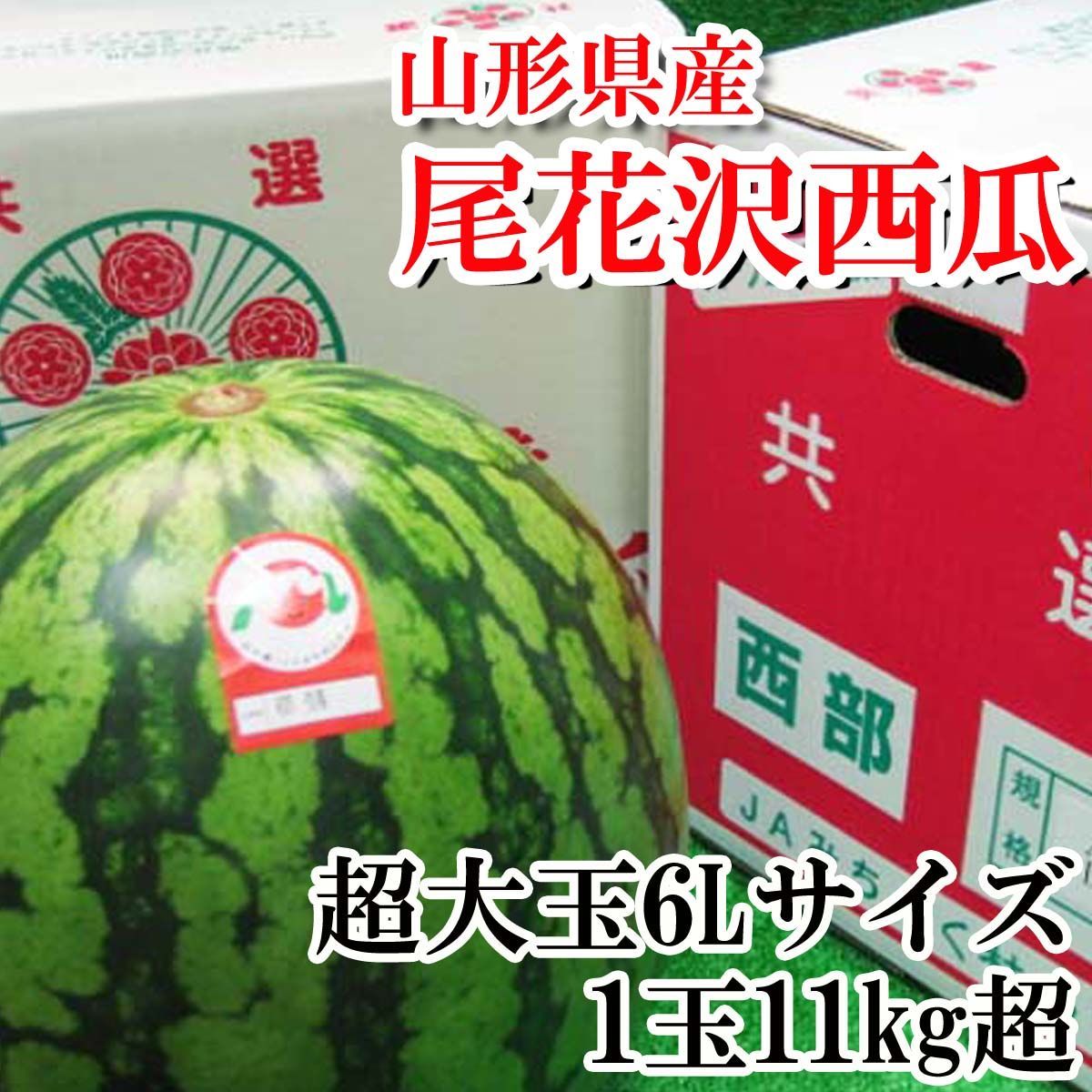 早い者勝ち★西瓜の匠元祖サプライズBIG西瓜（超超特大1玉） 鳥取県産JA鳥取中央 倉吉スイカ 秀品 大玉4Lサイズ 9キロ以上 1