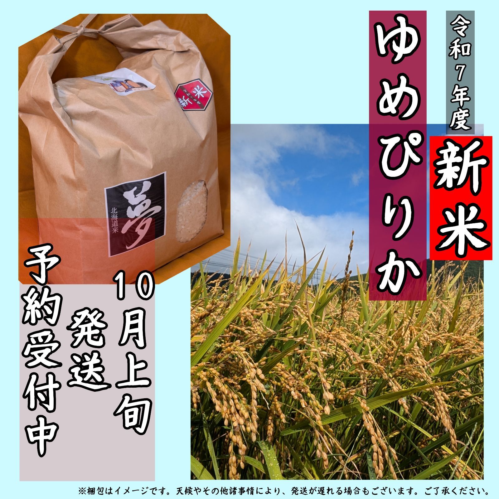 予約販売 10月上旬 令和7年産 新米 ゆめぴりか 3kg×3袋 計9kg 精米 お米 白米