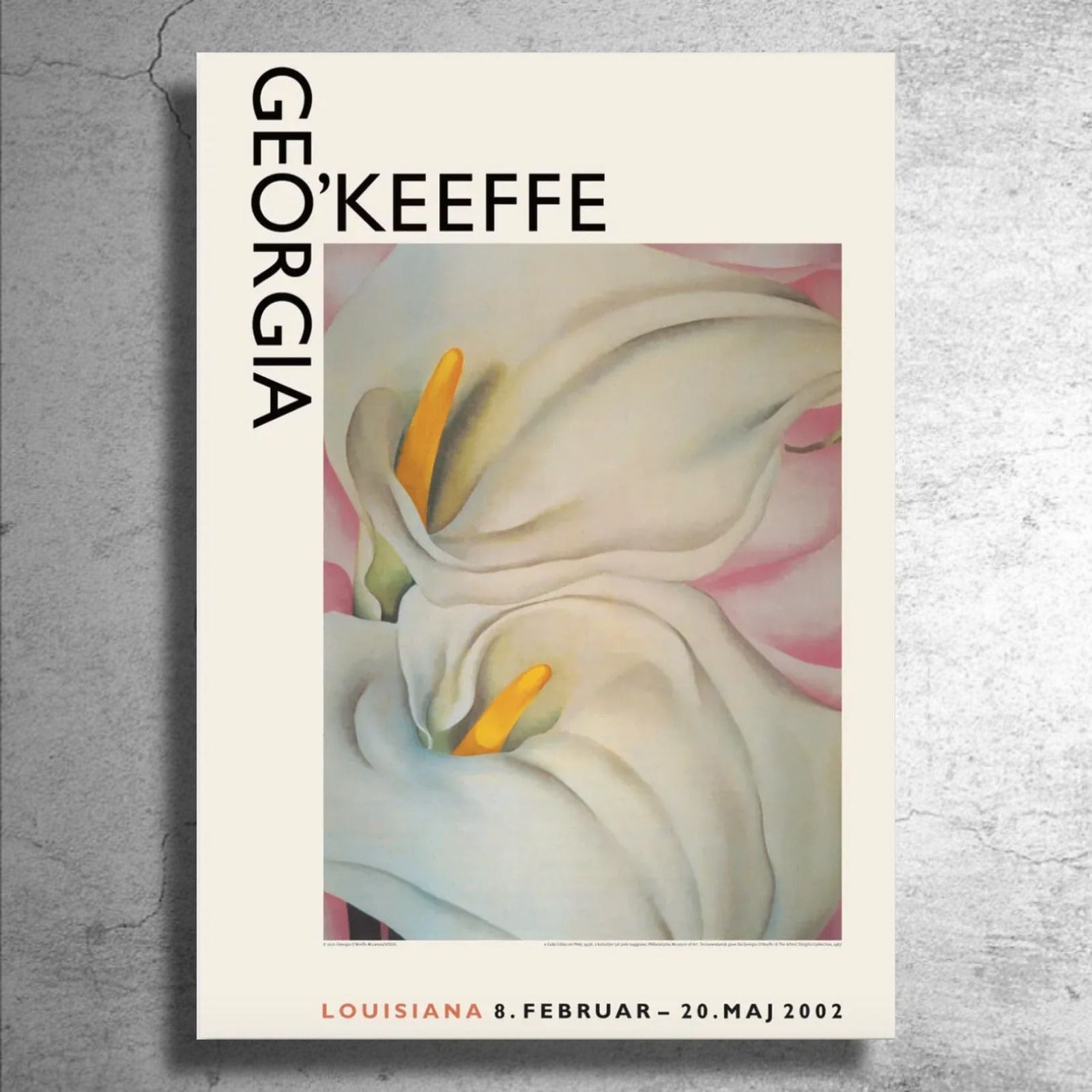 ジョージア・オキーフ 画集 SEIGENSHA・FOCUS 青幻舎 FOCUS：ジョージア・オキーフ｜青幻舎 SEIGENSHA Art Publishing, Inc.