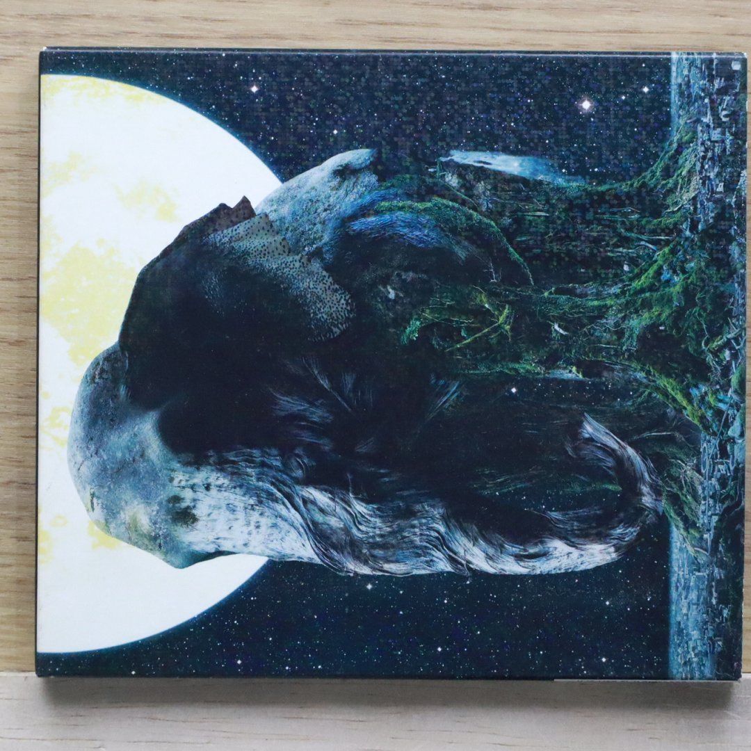 国内盤CD☆ミーシャ/MISIA□ ASCENSION 【RXCD21084/4988064210848