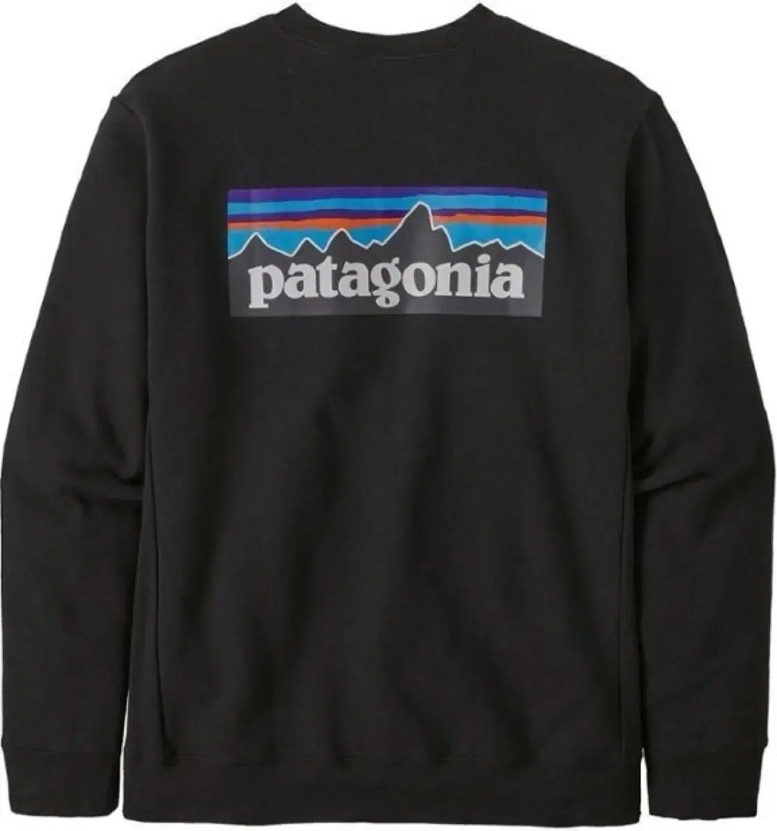 【雷市場（ポンジャン）商品韓国直送】 patagonia(パタゴニア) p ー 6 兼用 スウェットシャツ (テリー生地)