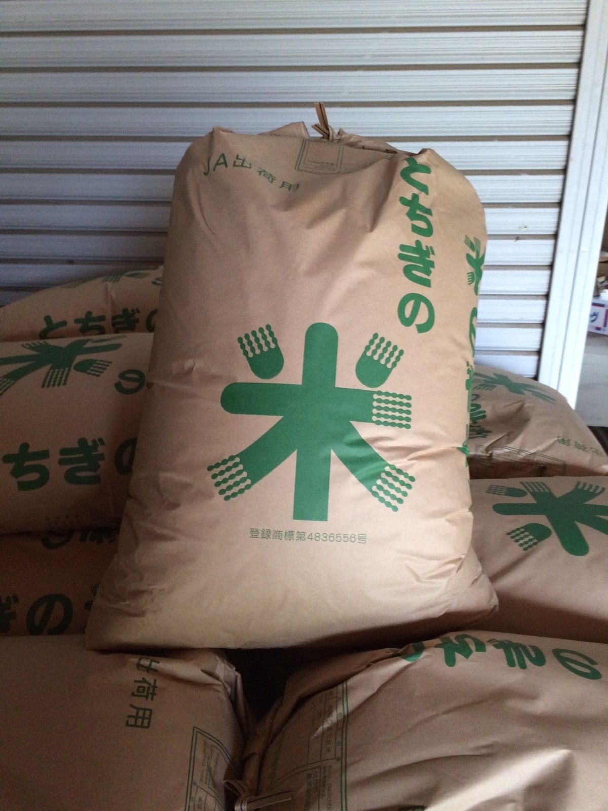 栃木県産　新米コシヒカリ　低農薬栽培-2