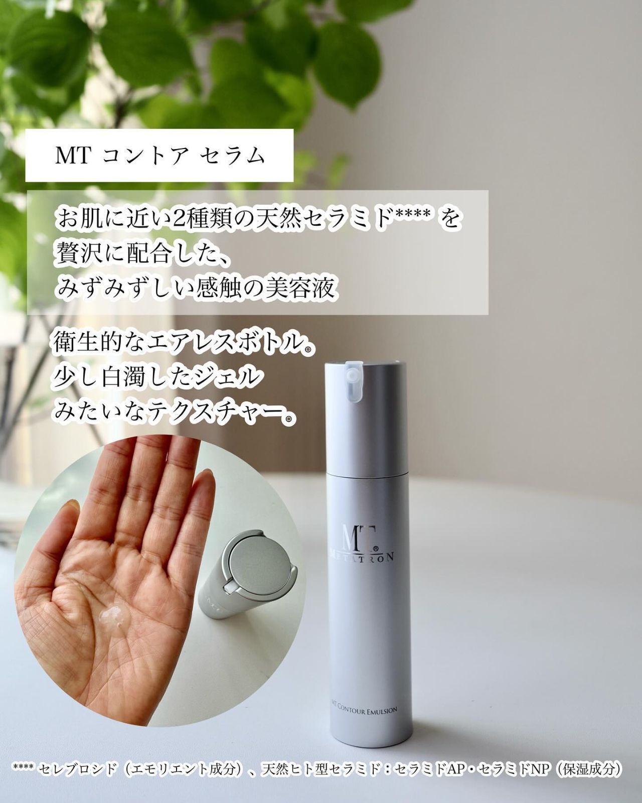MTコントアセラム　2つセット MTコントアセラム 2つセット 楽天市場】mt メタトロン