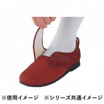 紫