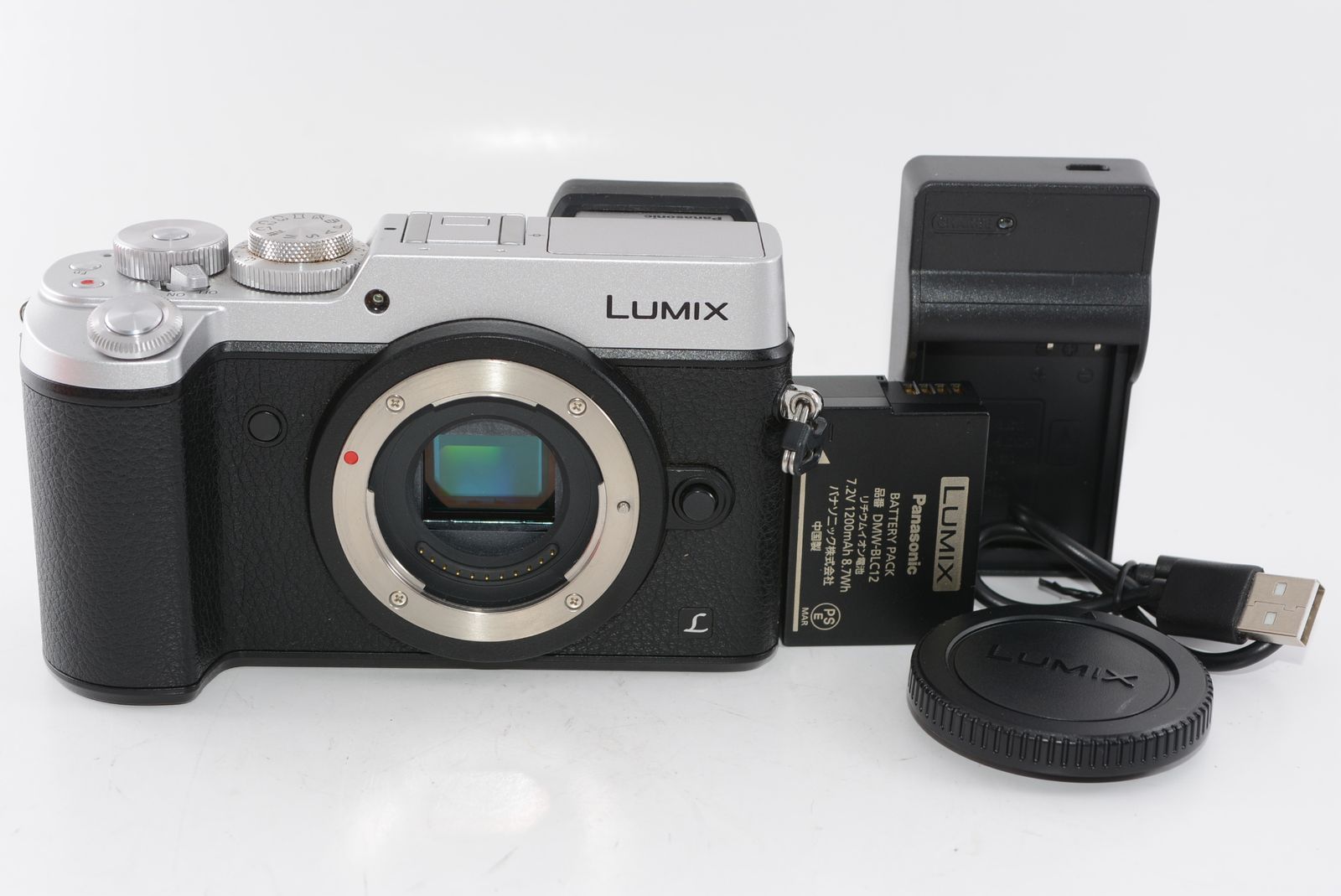 外観特上級】パナソニック ミラーレス一眼カメラ ルミックス GX8