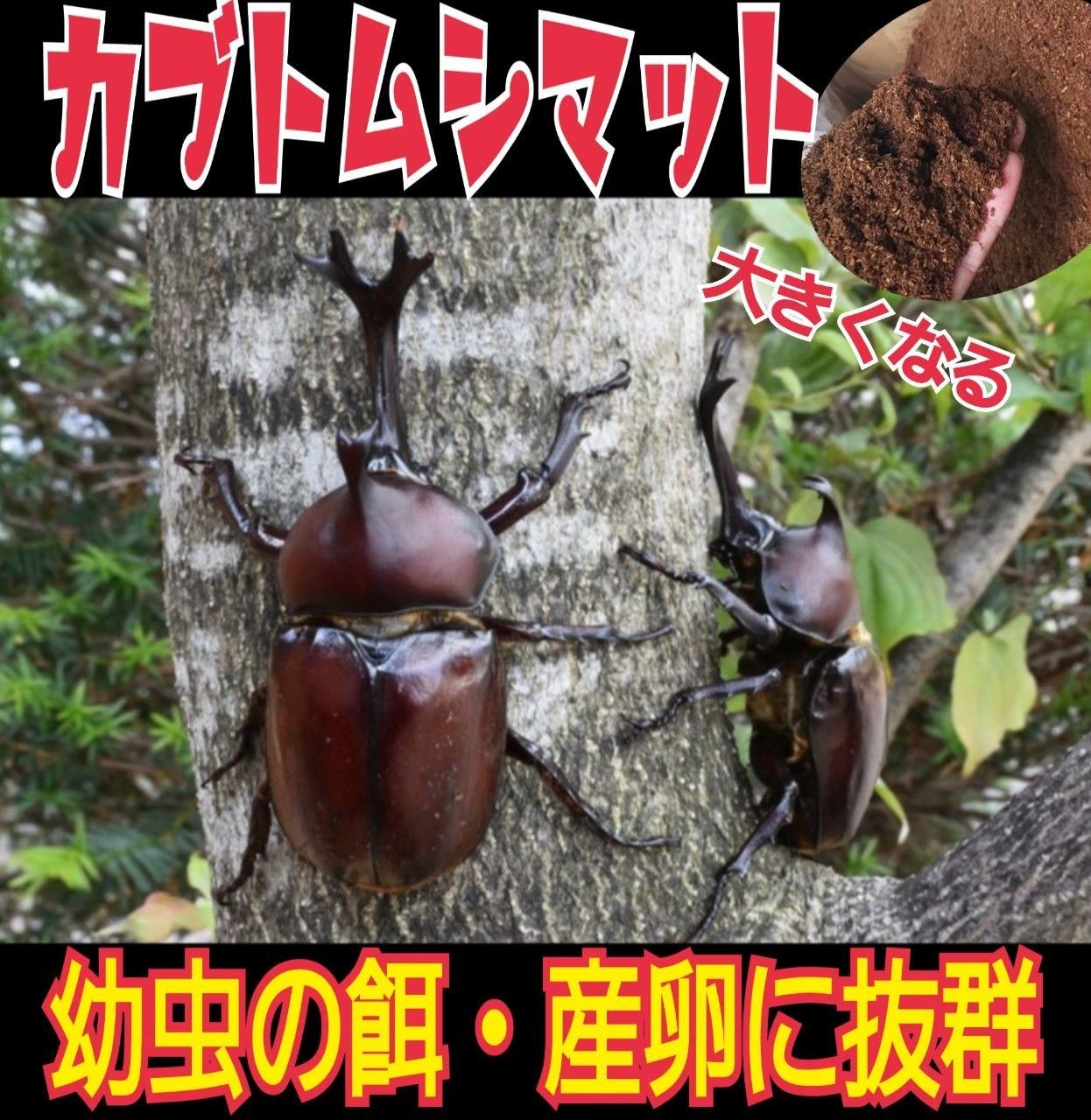 カブトムシ幼虫の餌☆ケース入りプレミアム発酵マット【8セット