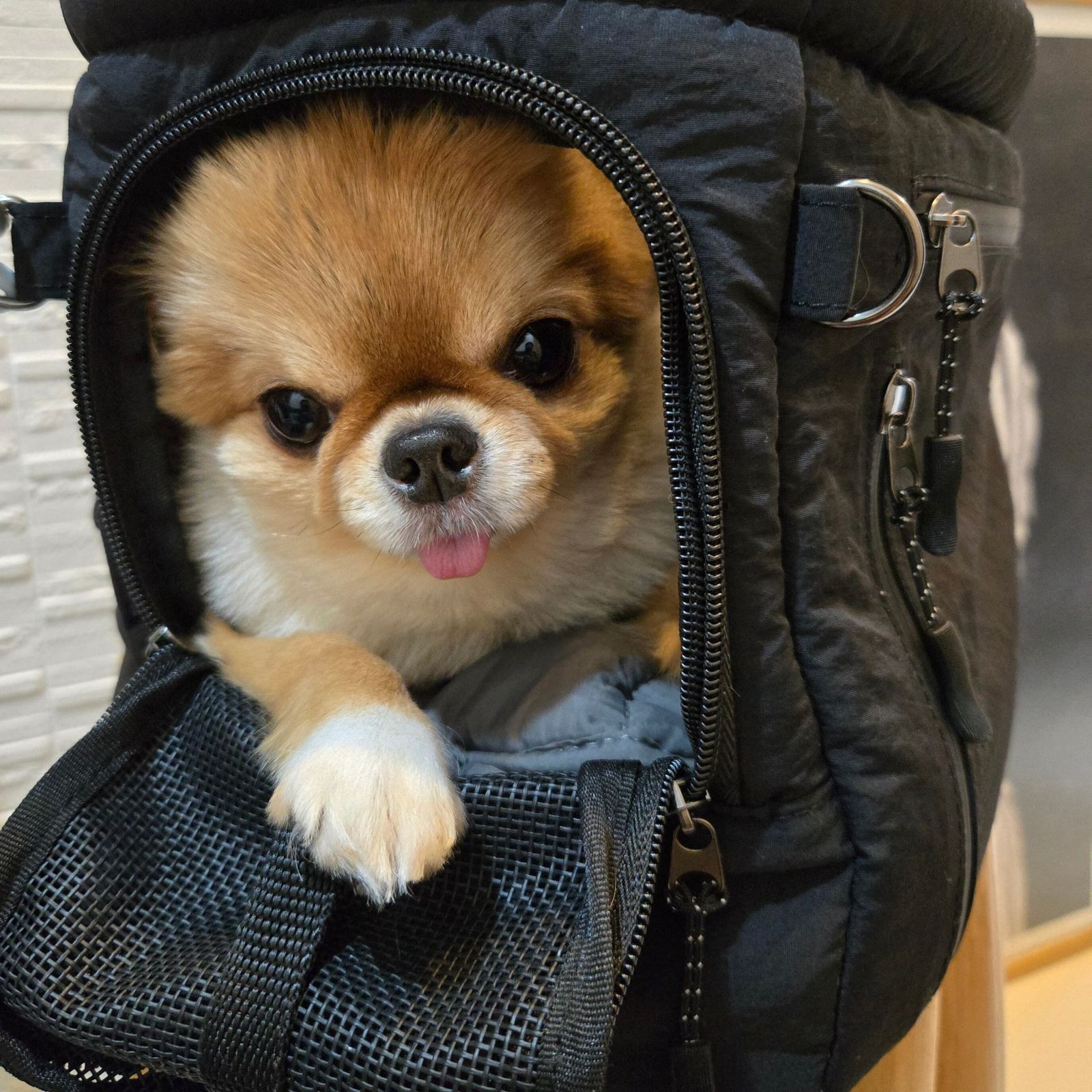 POCEMIY撥水クッションスリングバッグ