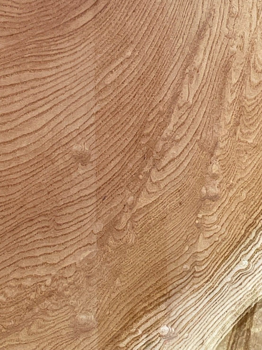 欅 M219 一枚板 乾燥材 レジン用 棚板 カウンター テーブル DIY 耳付 天板 テレビボード ◆全国都道府県 ◆ HRDEVELOPMENT_JP