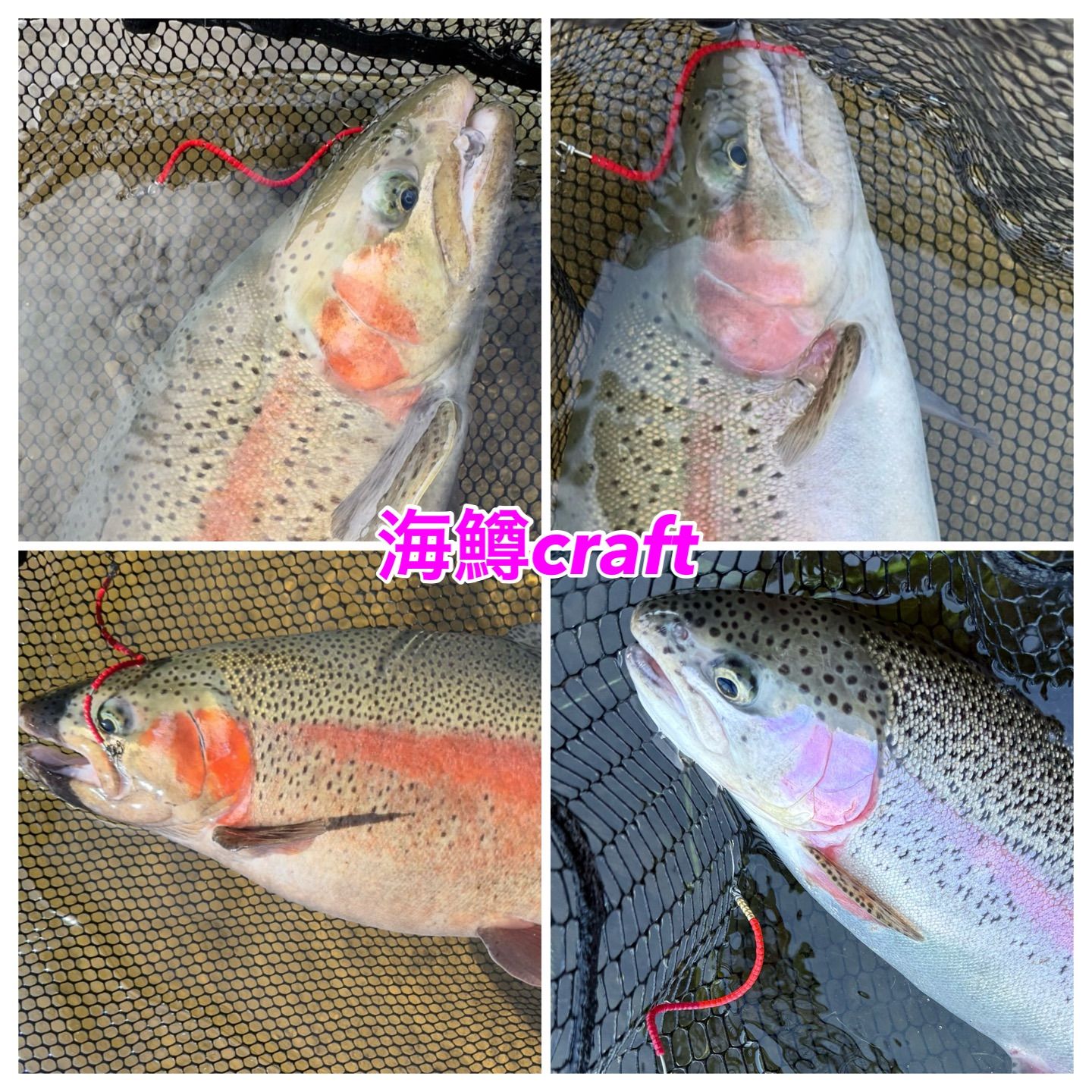 8センチ未満】管釣り エリアトラウト【形状記憶】海鱒スパイラル