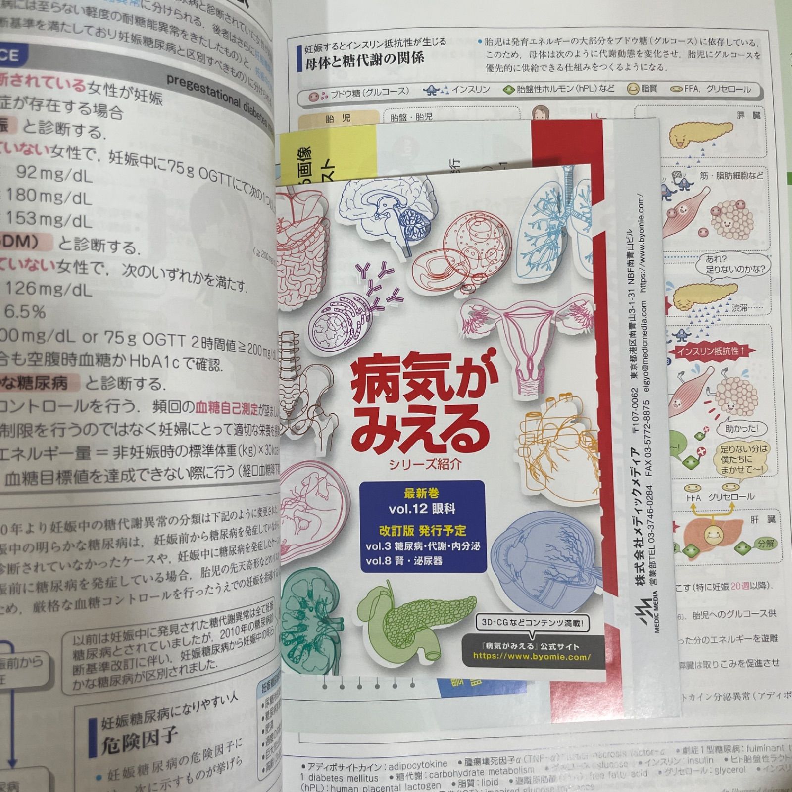 人気沸騰】 病気がみえる vol.10 産科 第4版 embro.edu.sa