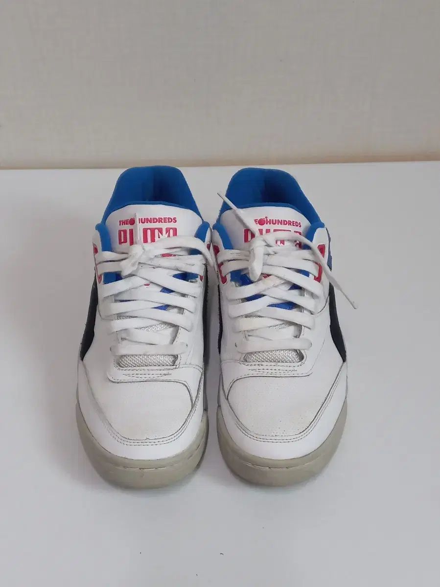 期間限定キャンペーン 371382 人 数百 ガード 宮殿 PUMA(プーマ) ー 240mm ／ 01 その他