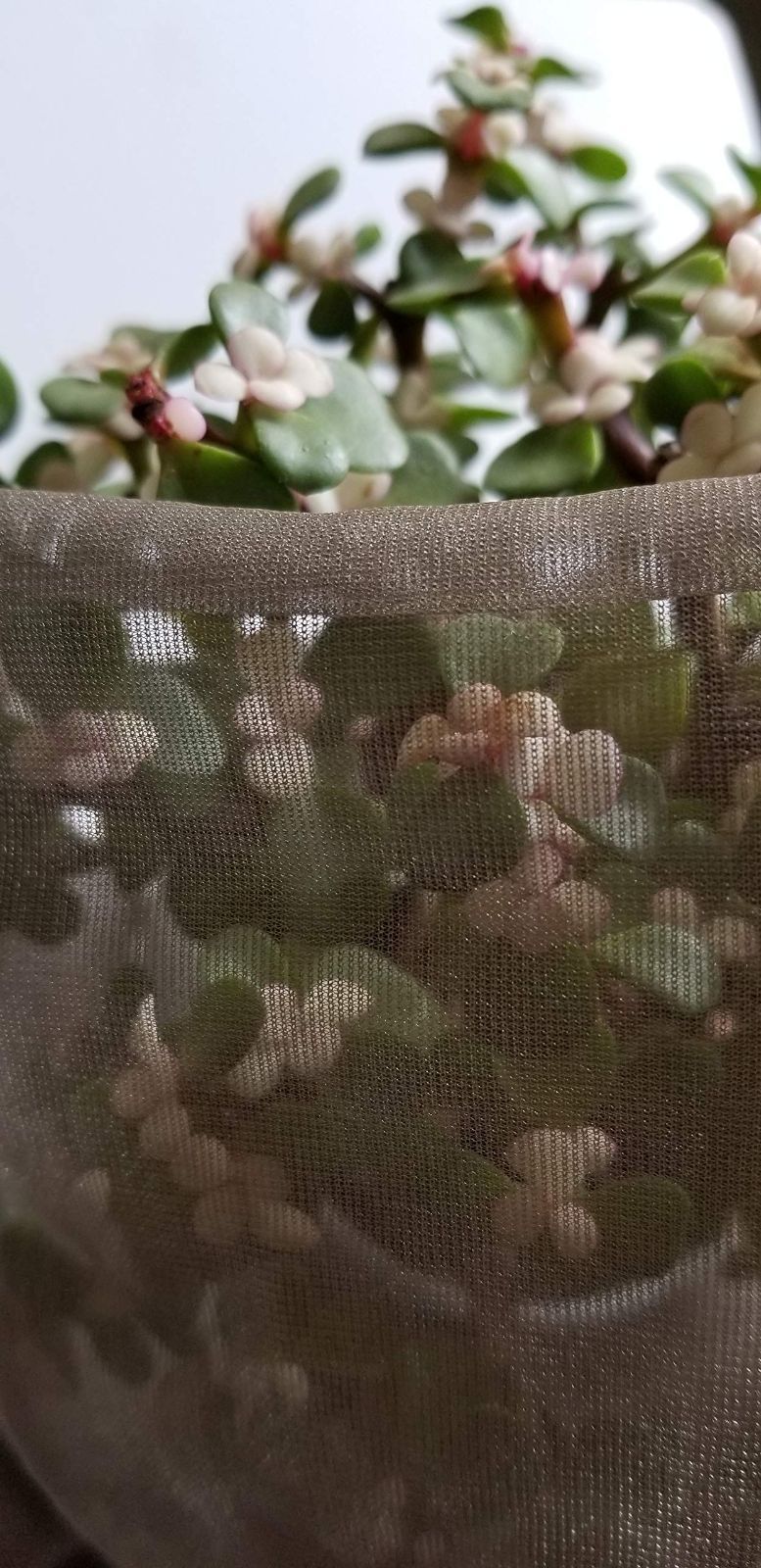 EMF保護 信号シールド