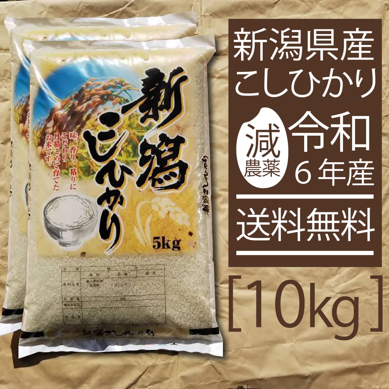 令和6年産 新潟産 コシヒカリ 10kg 10キロ