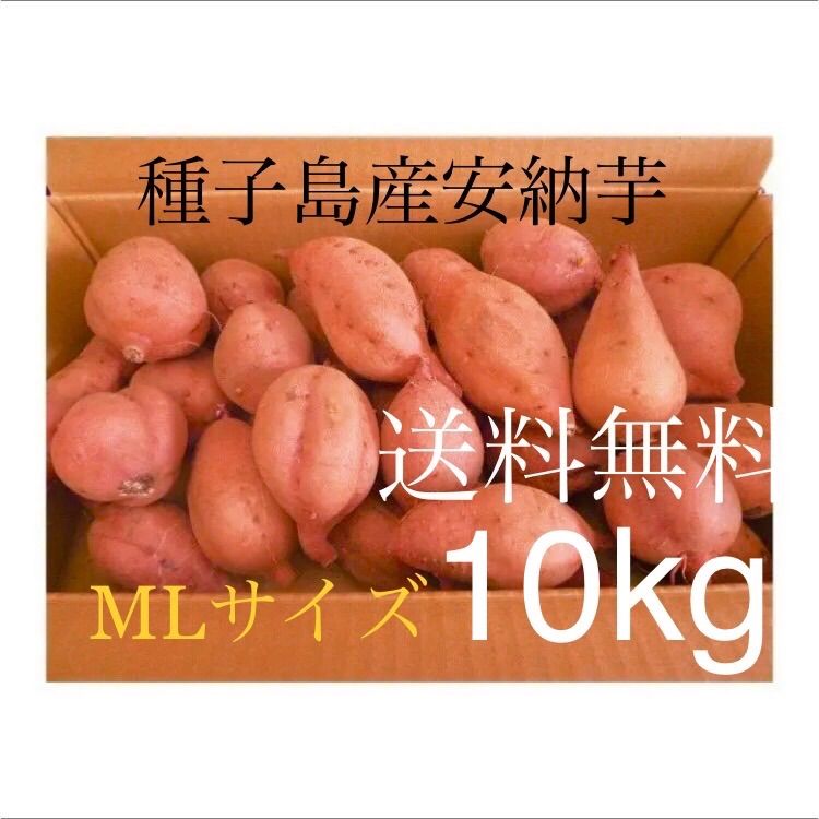 #無農薬栽培　種子島産安納芋　MLサイズ10kg　メルカリ