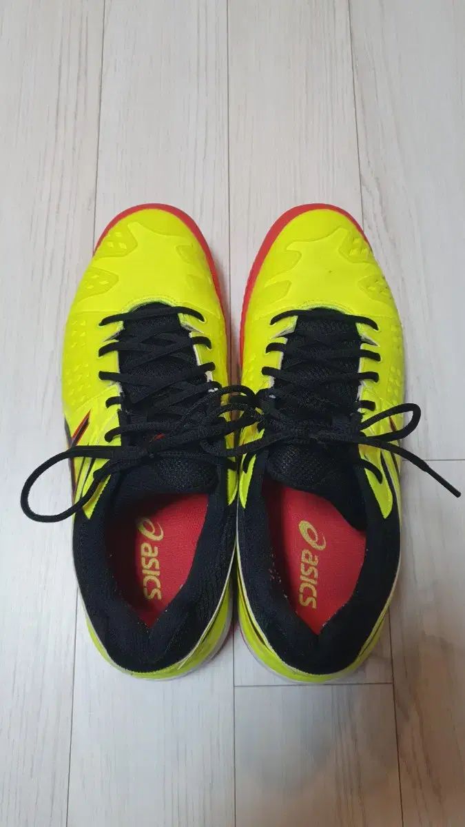 asics アシックス インディアンシューズ|バレーボールシューズ|バドミントンシューズ 260