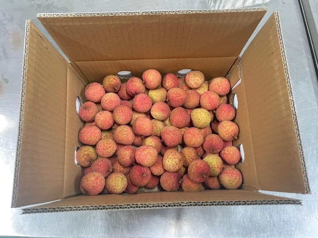 沖縄 5KG - ベトナム産生ライチ - Lychee 追加 み
