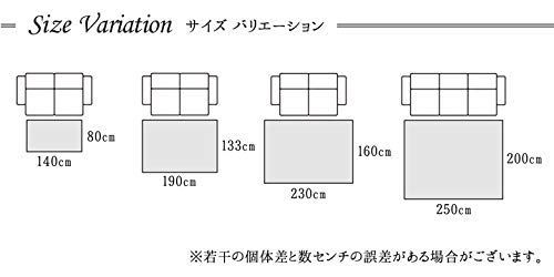 へたりにくい 消臭機能 抗菌防臭 アイボリー 約133×190cm 2348229 ギャッペ調ラグ イビサ ウィルトン織り トルコ製 カーペット ラグ イケヒコ