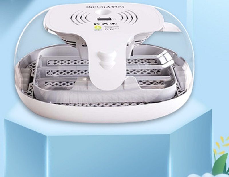 自動孵卵器 インキュベーター 検卵ライト付き 孵化器 自動転卵式 16個入卵 大容量 デジタル表示 自動温度制 湿度保持 子供 家庭用