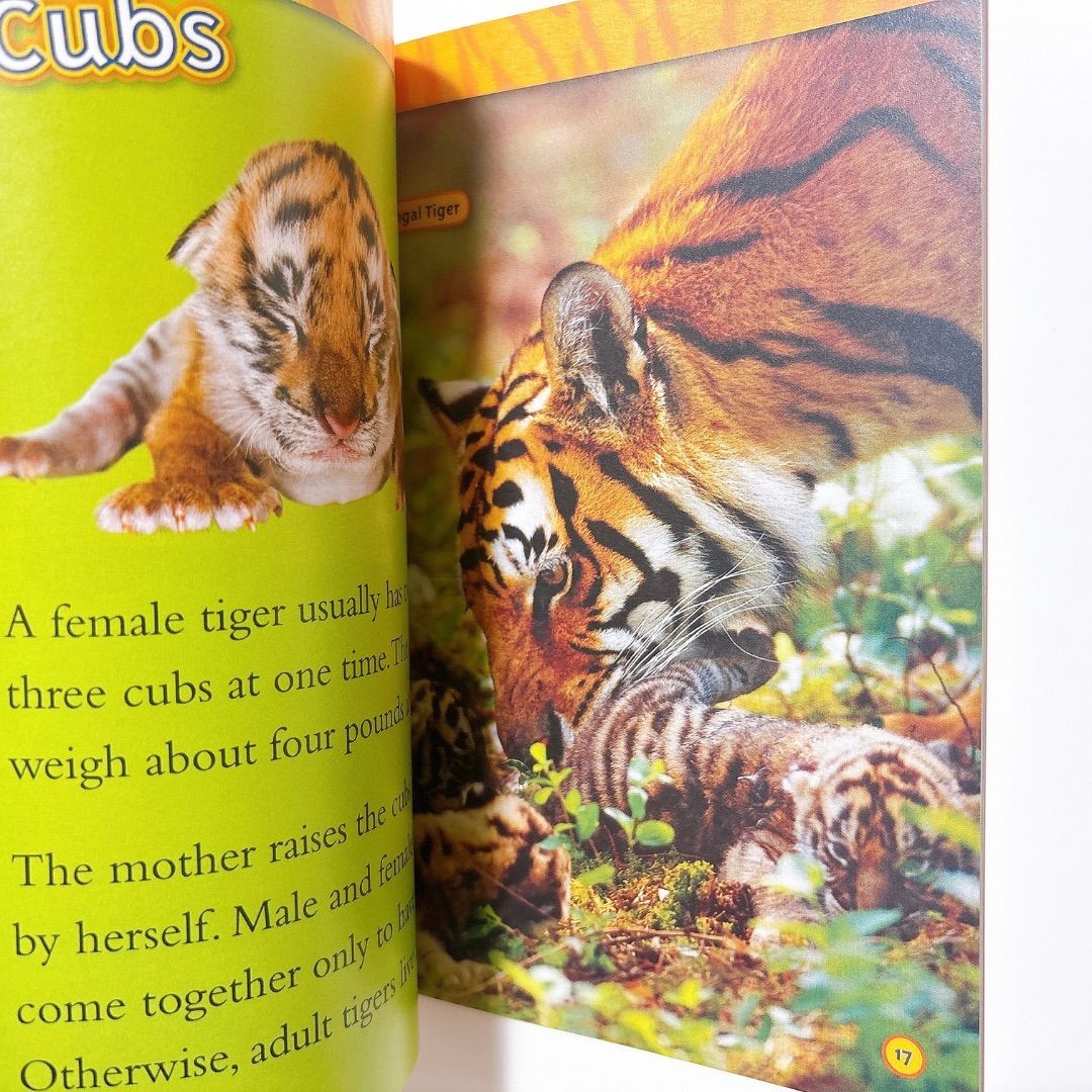 National Geographic Kids Level2 41冊 英語絵本 音源付き ナショジオ