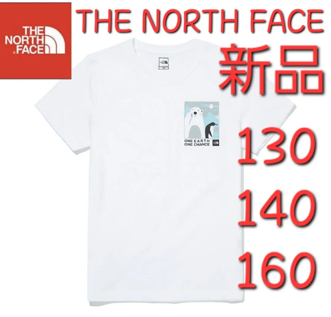 THE NORTH FACE ノースフェイス 新品 韓国語タグ付き 日本未発売