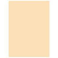 オフィス用紙カラーR100 B4アイボ500枚*5冊 北越製紙