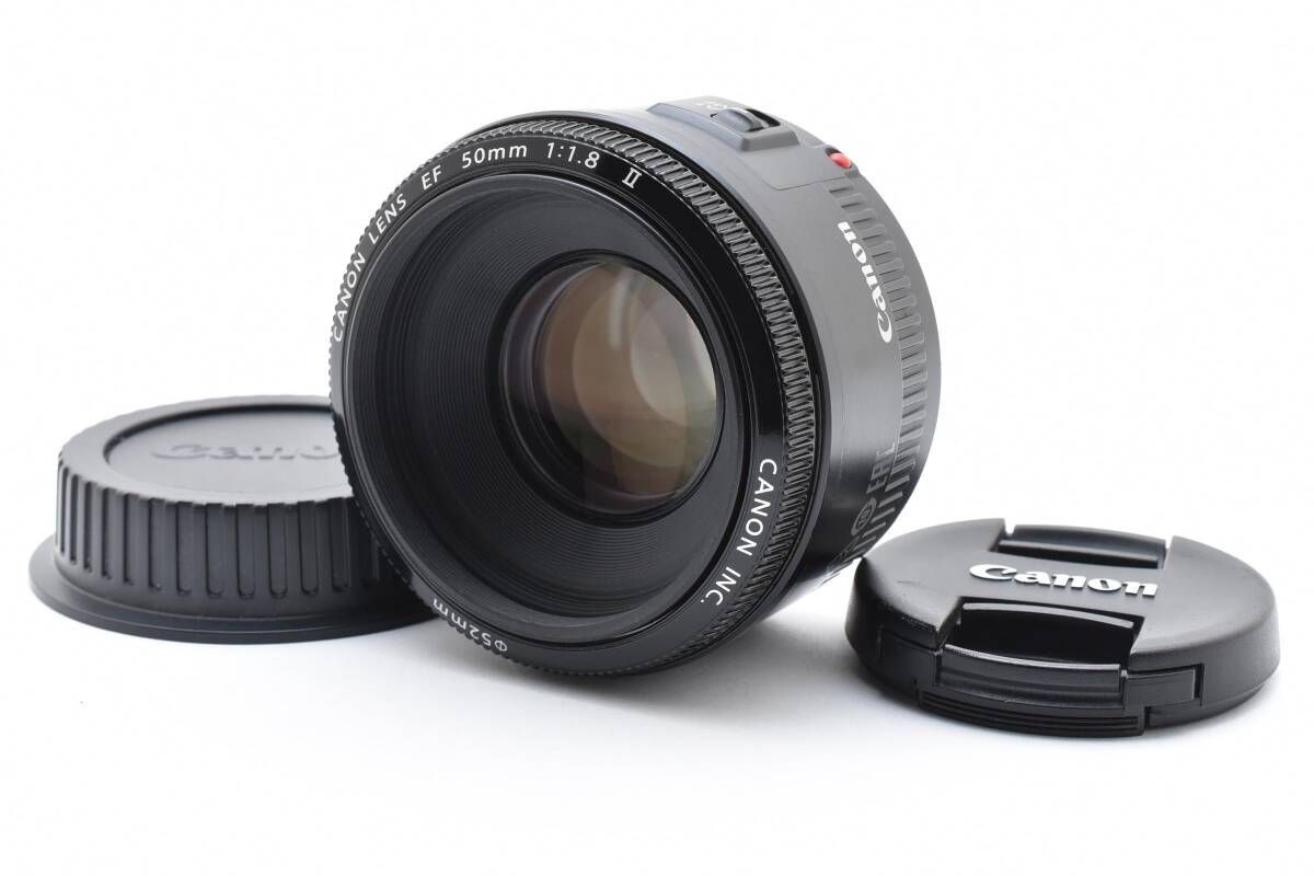 堺孝行 特上あなご捌き,鰻捌き包丁 水牛柄 120mm