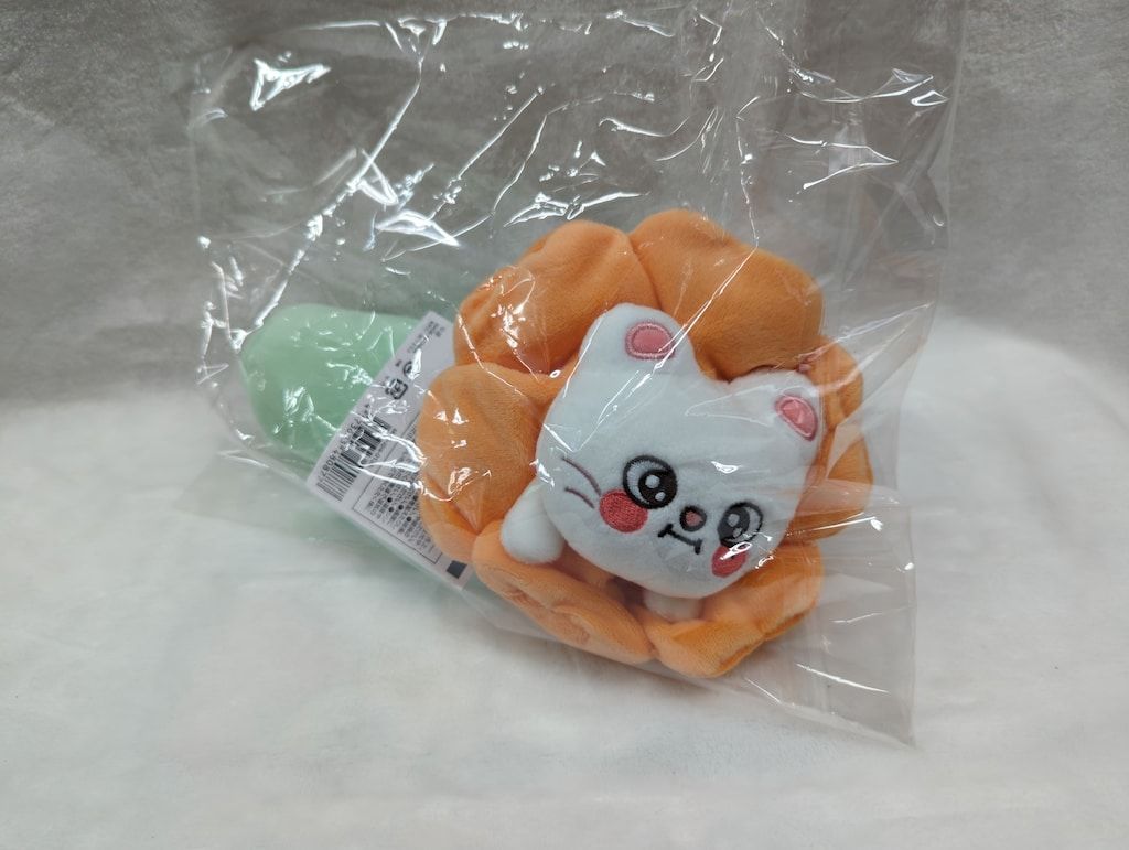 StrayKids 2025 SKZOO POPUP STORE 2nd MD Hyunjin ペンケース SKZOO