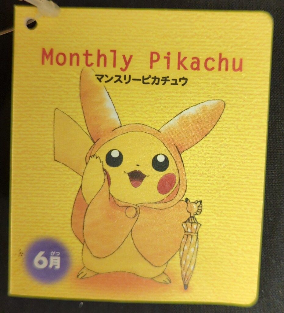 入荷なう ポケモンセンター マンスリーピカチュウ ポケットモンスター ぬいぐるみ
