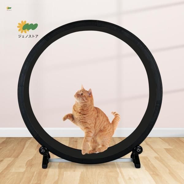 キャット ランニング ホイール スクラッチャー ボード ミュート トレーナー 子猫 トレーニング キティ用