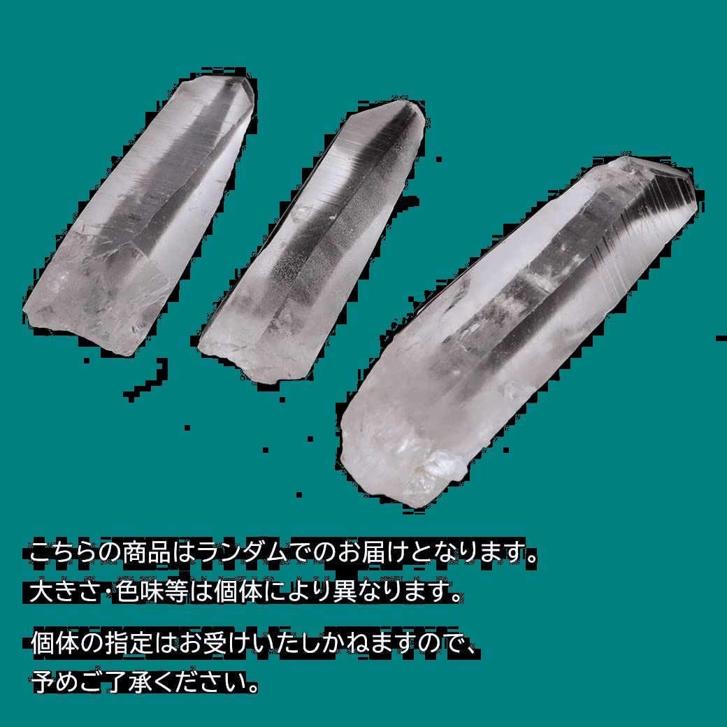 浄化 1本