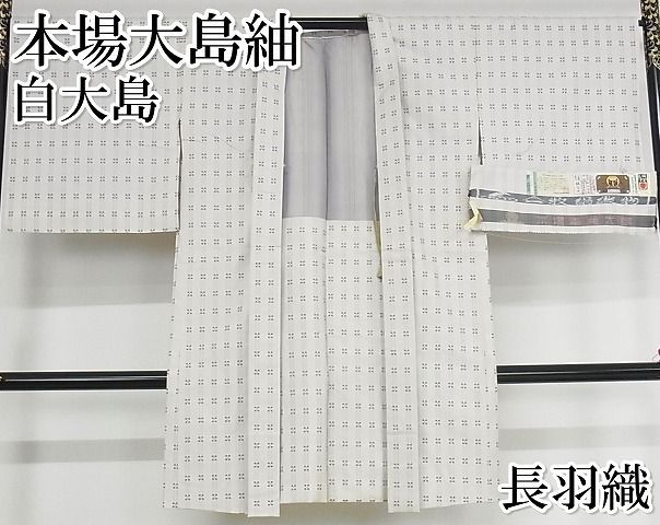 平和屋本店 上 本場大島紬 長羽織 白大島 9マルキ 手織り 証紙付き 正絹 KAAA1179kk4
