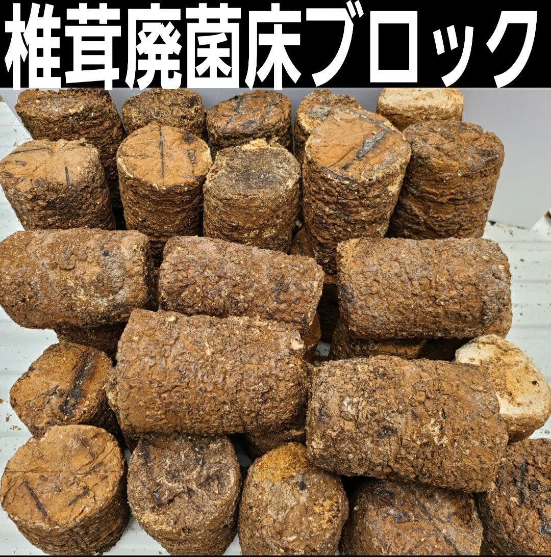 送料無料！椎茸廃菌床4ブロック☆カブトマットに埋め込み栄養強化！クワガタ産卵木に - メルカリ