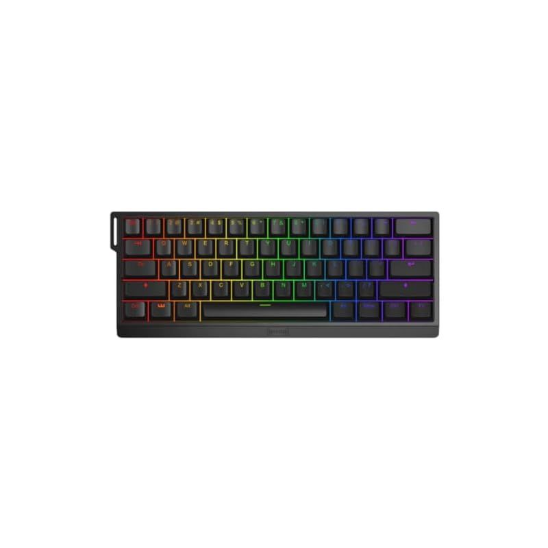 Wooting60HE,ARM,ANSI-US PBT,Lekker Linear60,US 配列,ラビット