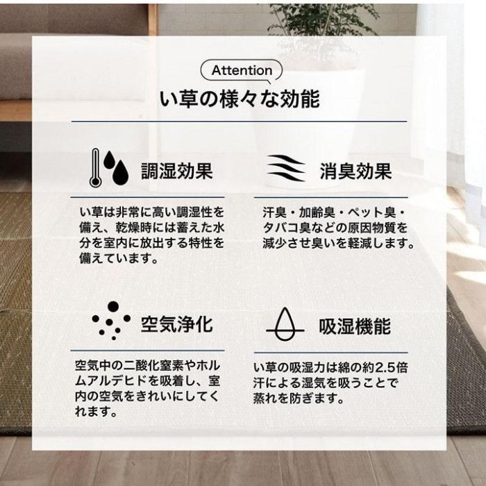 KOBA-GUARD コバガード 滑り止めあり い草ラグ 190×190cm グリーン 1060470123504