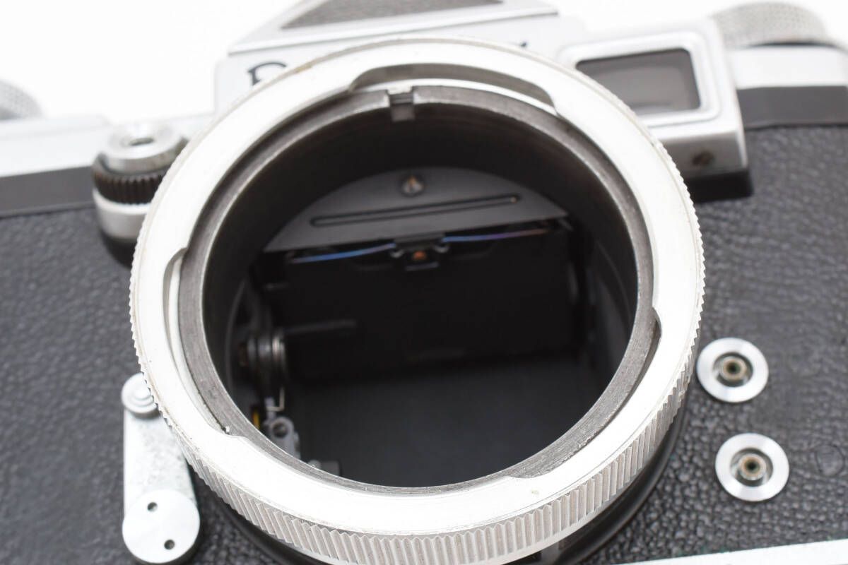 プラクチナ Praktina