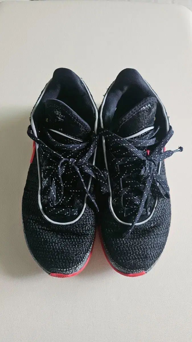 ナイキ バスケシューズ レブロン 20 DQ8651 245 サイズ