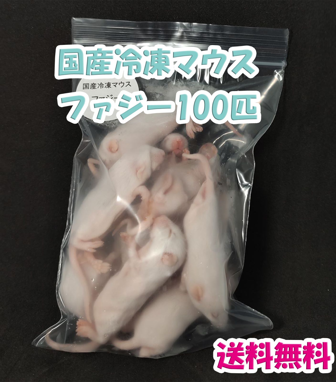 送料無料！】国産冷凍マウス ファジー 100匹２点目から1,000円割引！ - メルカリ